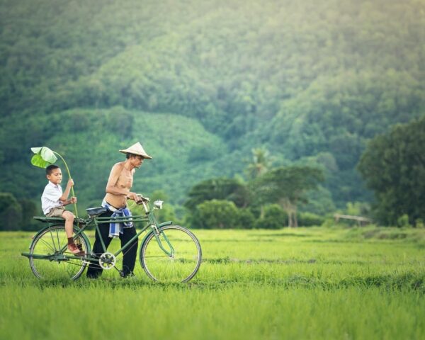 The countryside of Siem Reap, Cambodia.