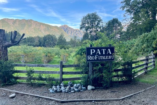 Pata sign.