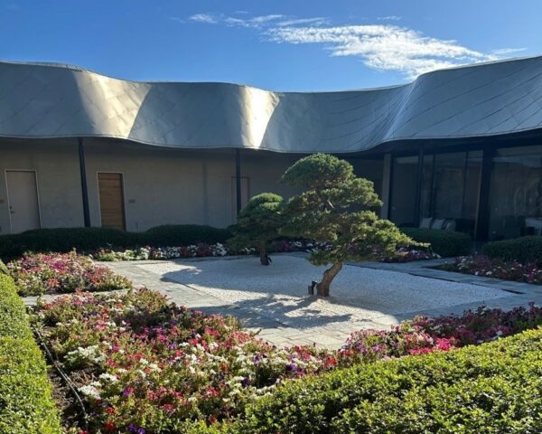 The courtyard at Vik Chile Resort.