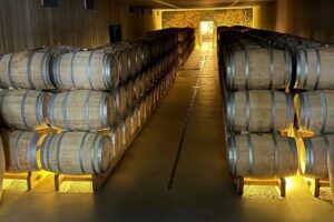 Wine barrels at Vik Winery in Chile.