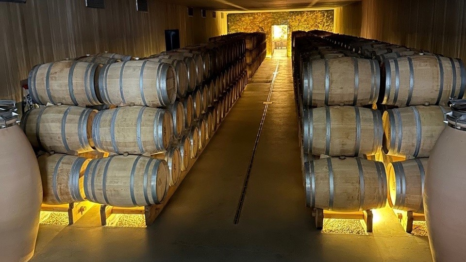 Wine barrels at Vik Winery in Chile.