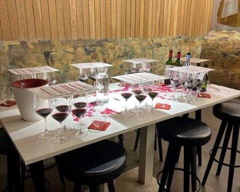 Wine Tasting at Vik Chile.