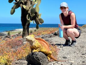 A woman kneeling by a land iguana in the Galapagos Islands.