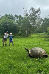 Two people with a giant land tortoise in the Galapagos Islands.