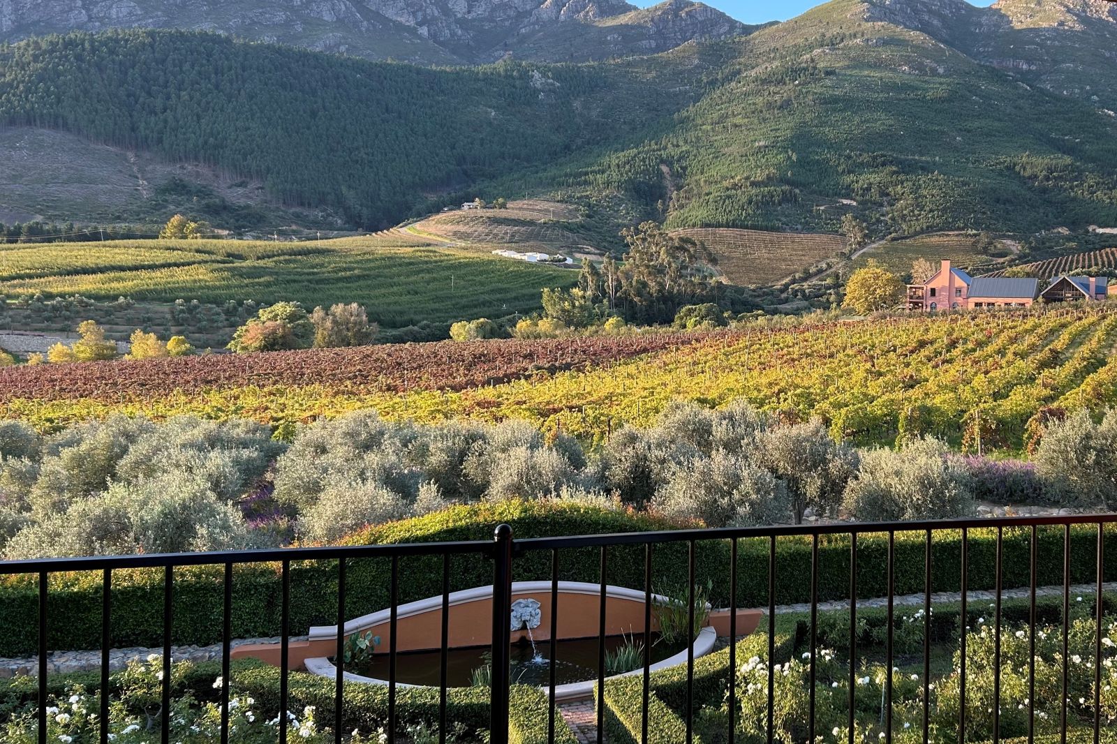 View from a deck at La Res