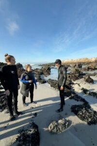 Mussel picking at Birkenhead House