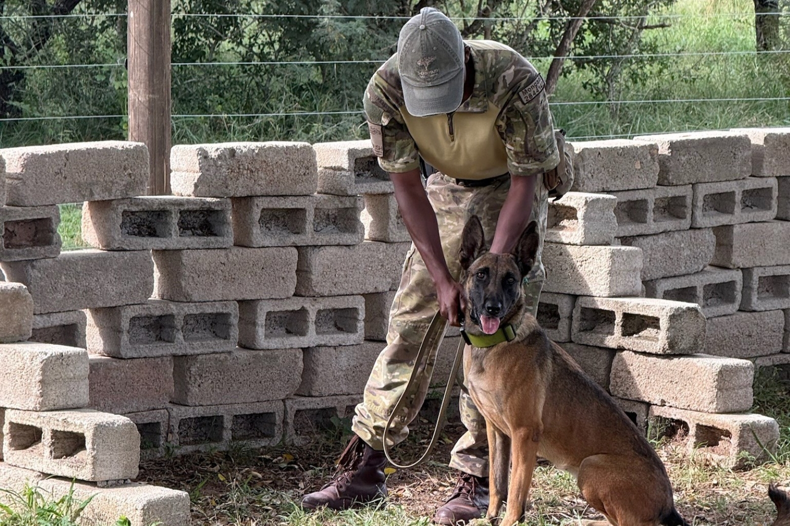 Royal Malewane CRC dog