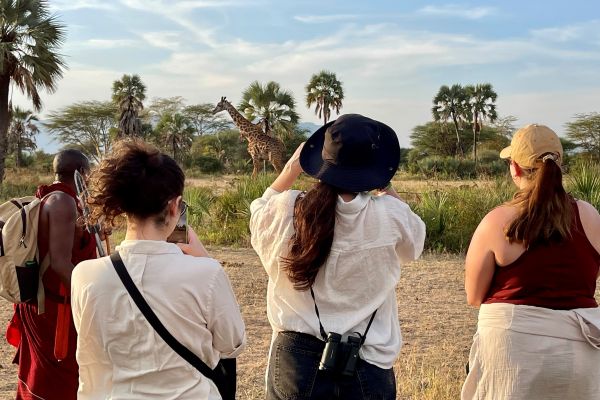 Advisors with guide taking photos of a giraffe.