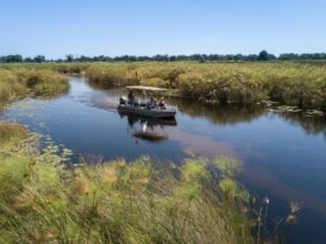 A boat ride in the Okavango Delta, Botswana