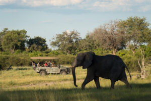 A game drive vehicle watching an elephant in the Okavango Delta, Botswana