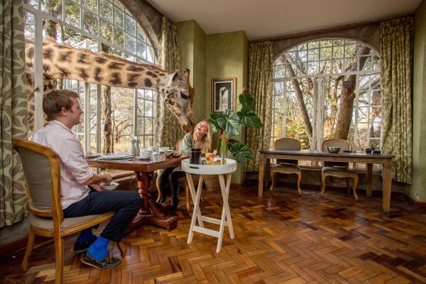 People eating at a table with a giraffe poking its neck through the window