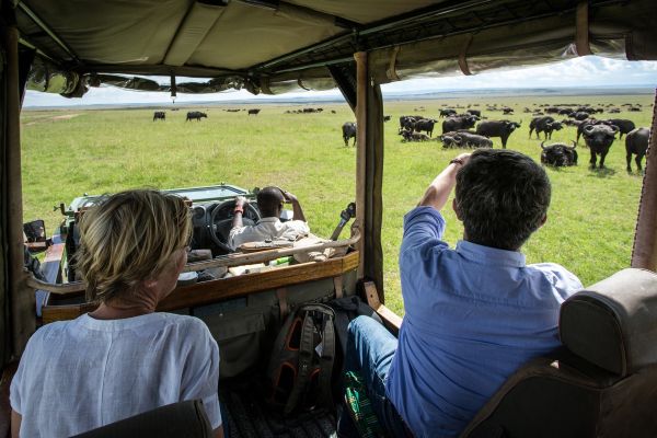 Safari drive at Mara Expedition Camp