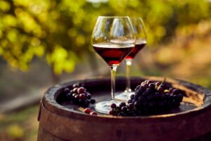 Food and Wine Tour Through South Africa