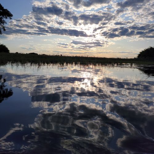 On a boat in the Okavango Delta