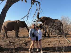 Two female travelers in front of African elephants.