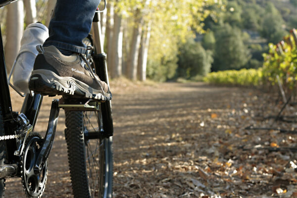 Bike riding at Vik Chile, in the Millahue Valley.