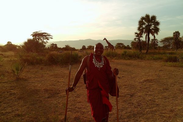 Person and giraffe in Africa